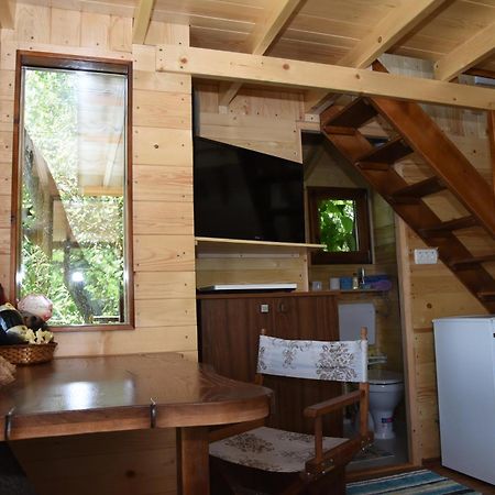 Holiday Home Kucica Na Drvetu Banja Koviljaca Ngoại thất bức ảnh