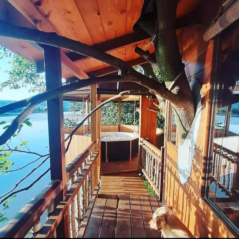 Holiday Home Kucica Na Drvetu Banja Koviljaca Ngoại thất bức ảnh