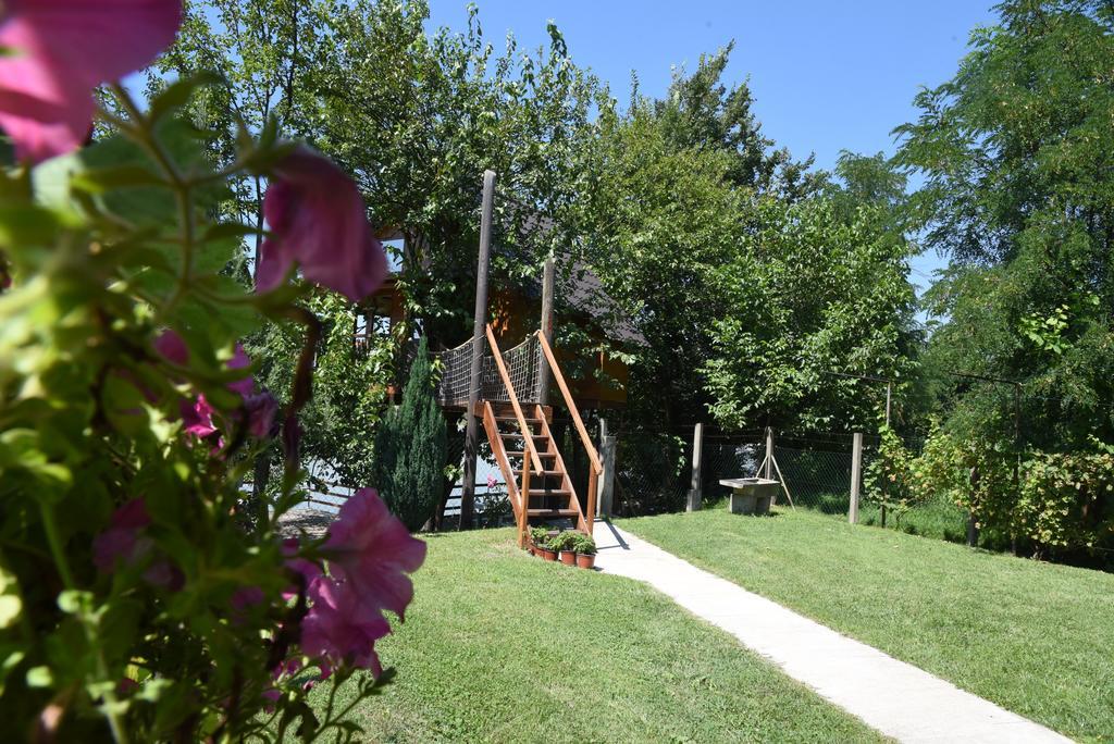 Holiday Home Kucica Na Drvetu Banja Koviljaca Ngoại thất bức ảnh