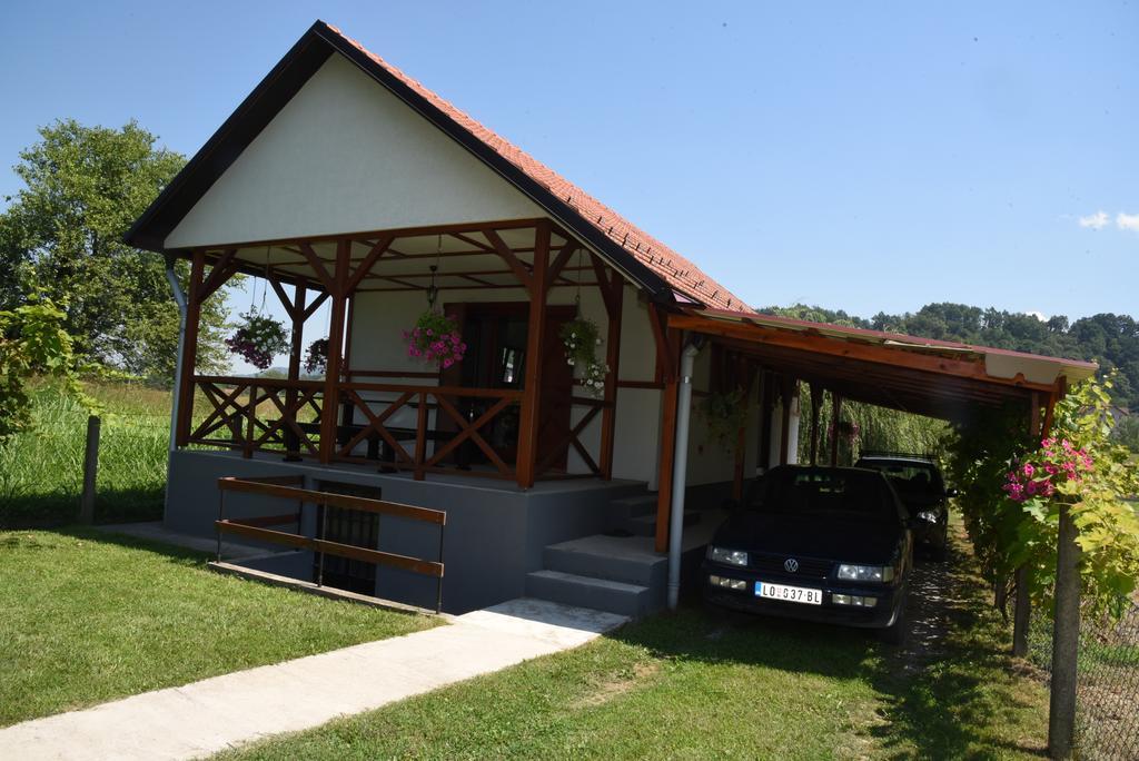 Holiday Home Kucica Na Drvetu Banja Koviljaca Ngoại thất bức ảnh