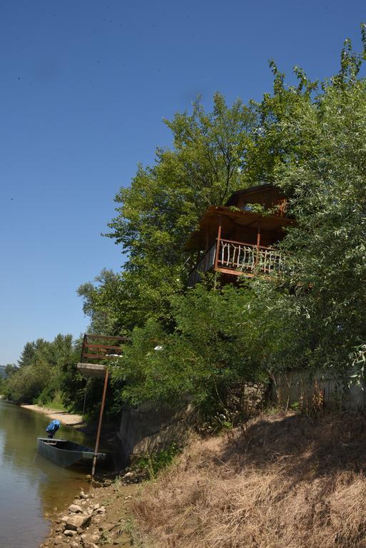 Holiday Home Kucica Na Drvetu Banja Koviljaca Ngoại thất bức ảnh